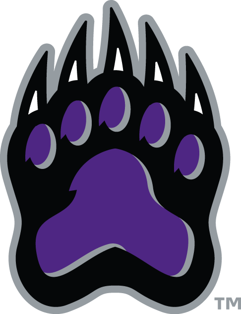 Central Arkansas Bears 2009-Pres Alternate Logo 05 iron on paper